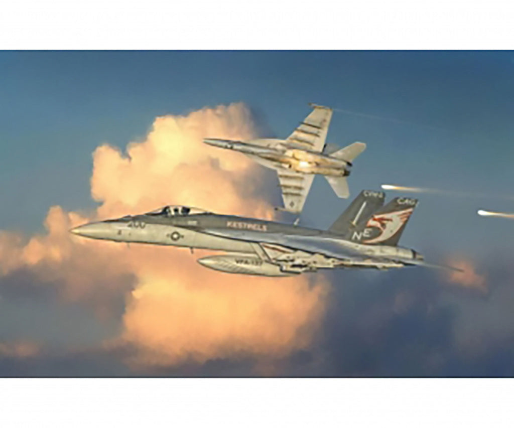 Italeri 1/72nd scale F/A-18E Super Hornet Top Gun
