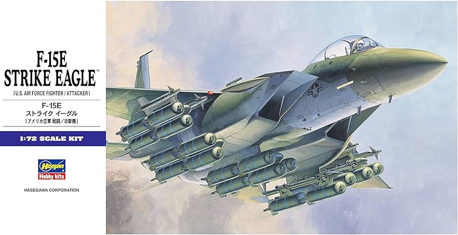 Second Hand Hasegawa 1/72nd scale F-15E Strike Eagle