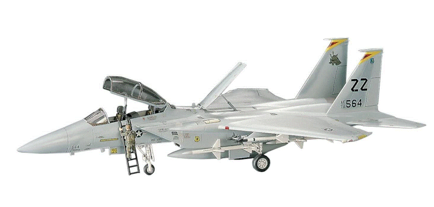 Hasegawa 1/72nd scale F-15D/DJ Eagle