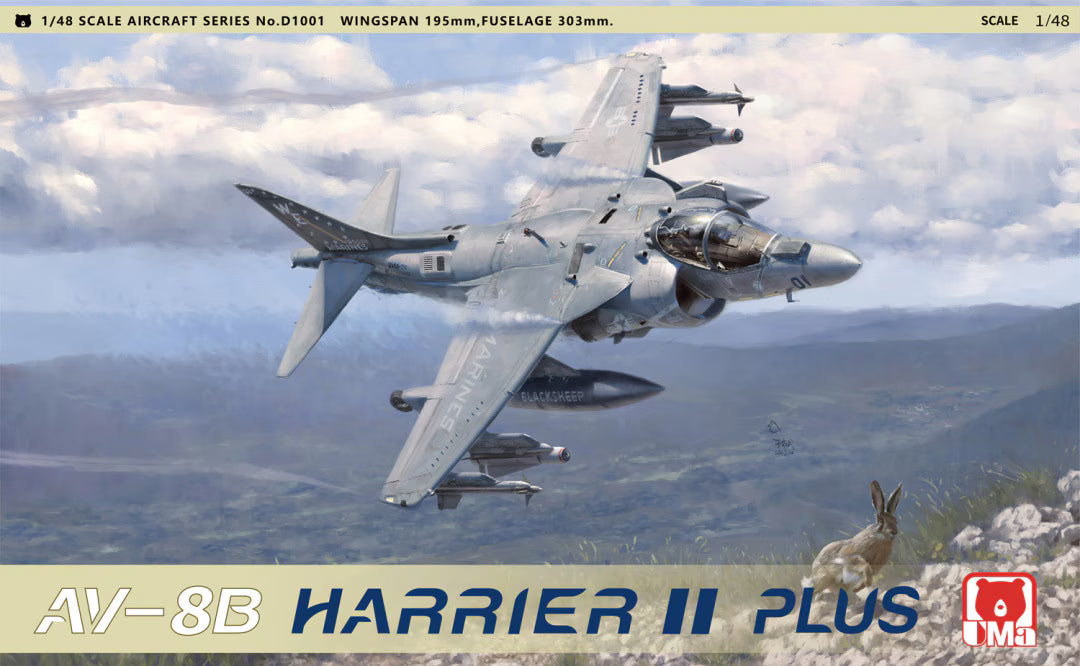 Uma 1/48th scale AV-8B Harrier II
