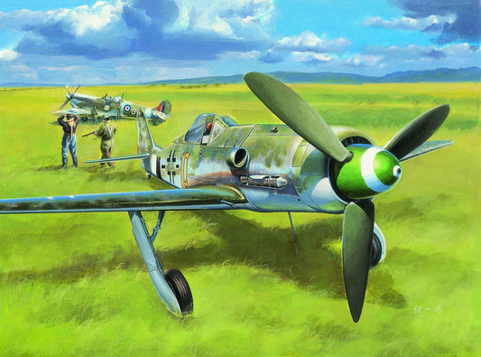 Hobbyboss 1/48th scale Focke-Wulf FW190 D-13